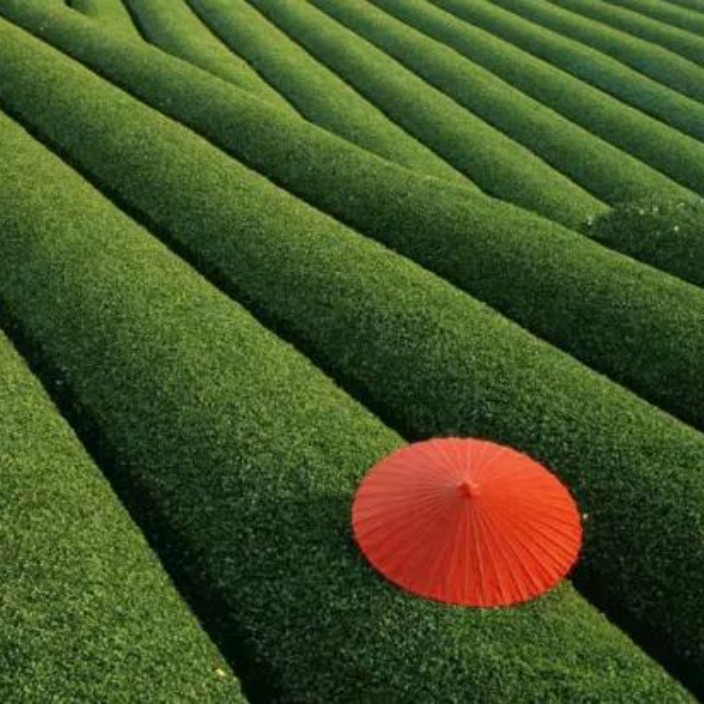 xiape.eth Ethereum Name Service (ENS and .eth domain) PFP