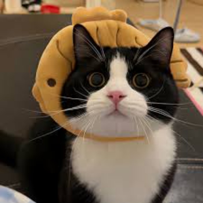 xielian.eth Ethereum Name Service (ENS and .eth domain) PFP