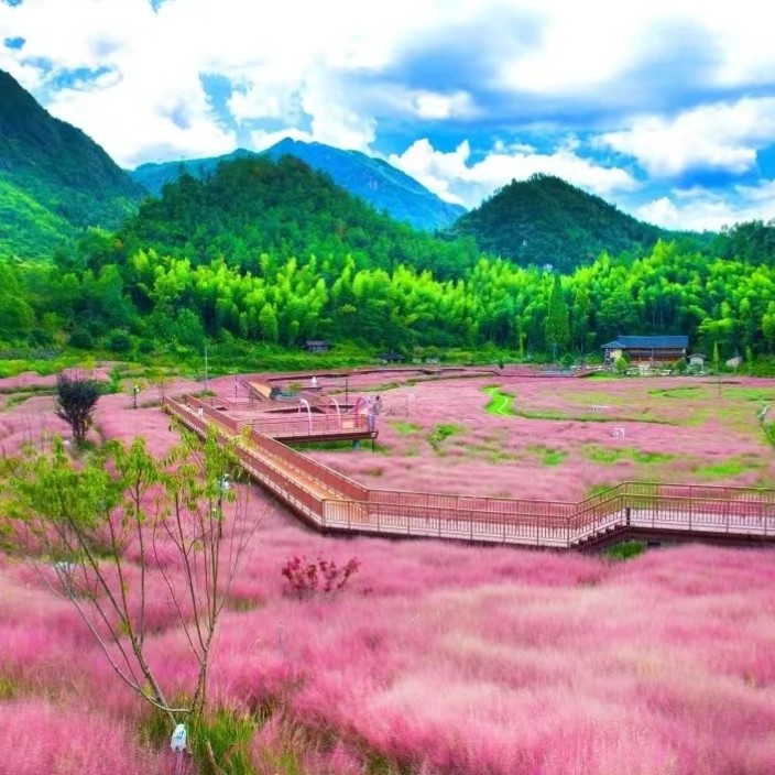 xutianfeng1.eth Ethereum Name Service (ENS and .eth domain) PFP