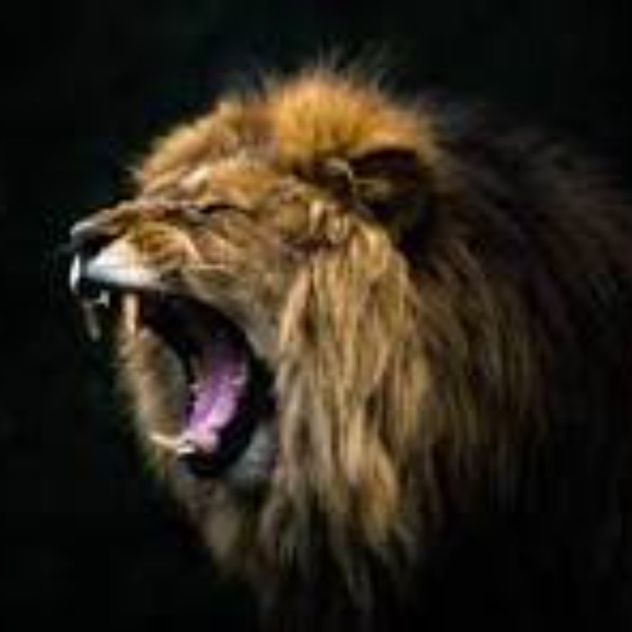 xxsxx.eth Ethereum Name Service (ENS and .eth domain) PFP