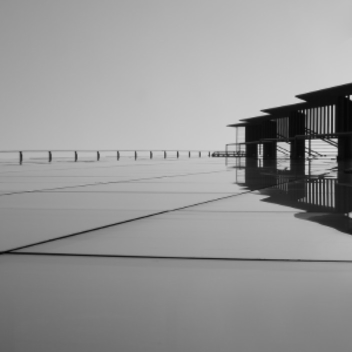 xyolo.eth Ethereum Name Service (ENS and .eth domain) PFP