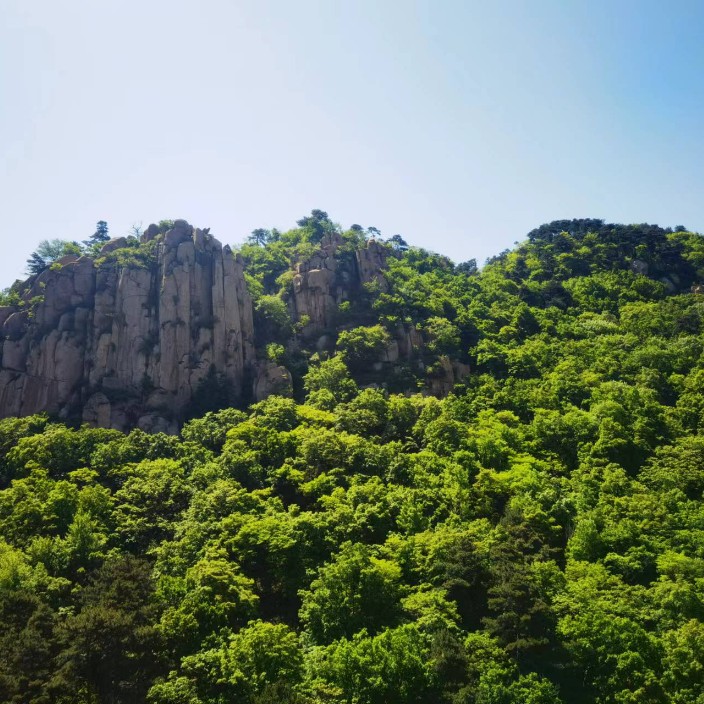 y686868.eth Ethereum Name Service (ENS and .eth domain) PFP