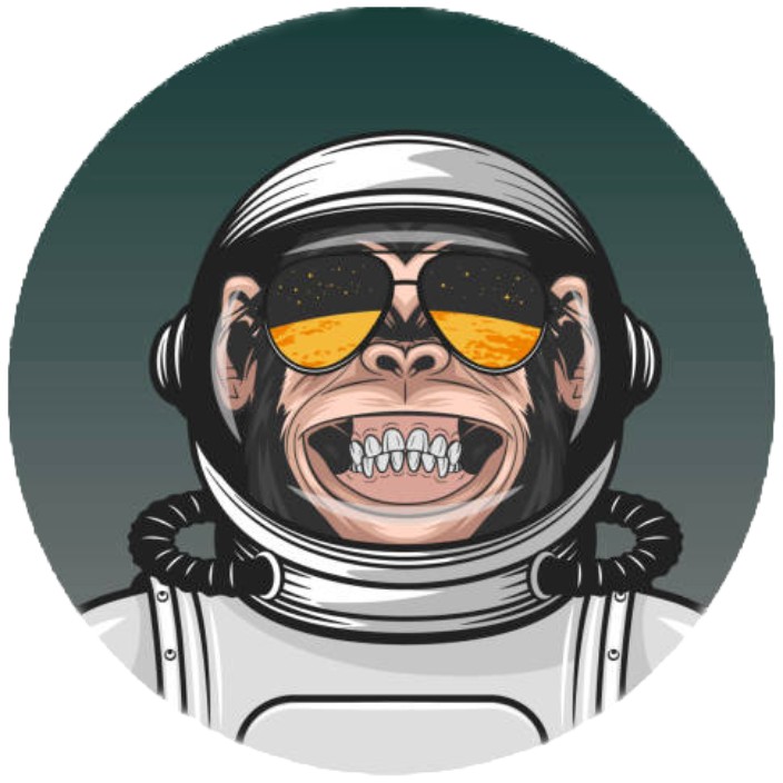 yabbajonk.eth Ethereum Name Service (ENS and .eth domain) PFP