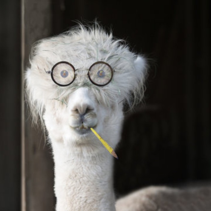 yalas.eth Ethereum Name Service (ENS and .eth domain) PFP