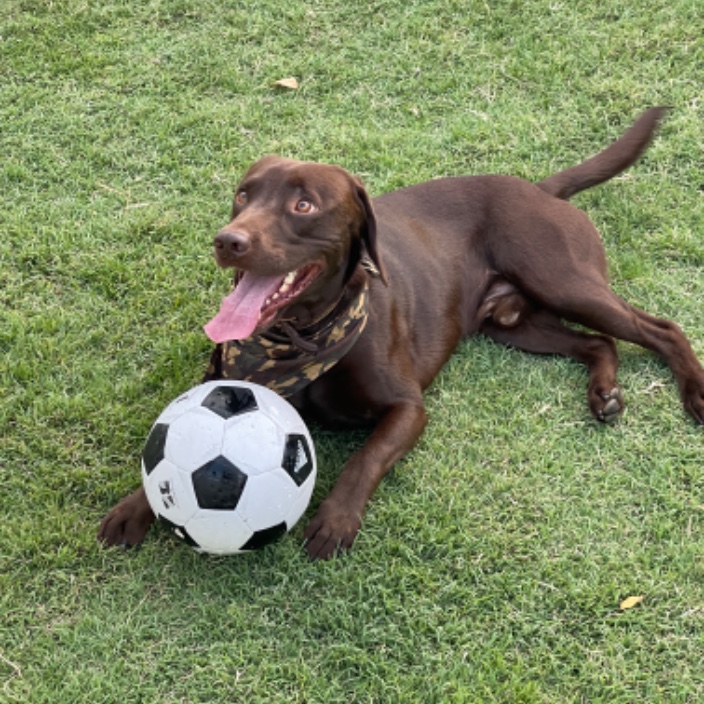 yazanmadanat.eth Ethereum Name Service (ENS and .eth domain) PFP