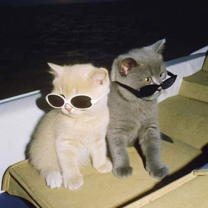 ycmyxx.eth Ethereum Name Service (ENS and .eth domain) PFP