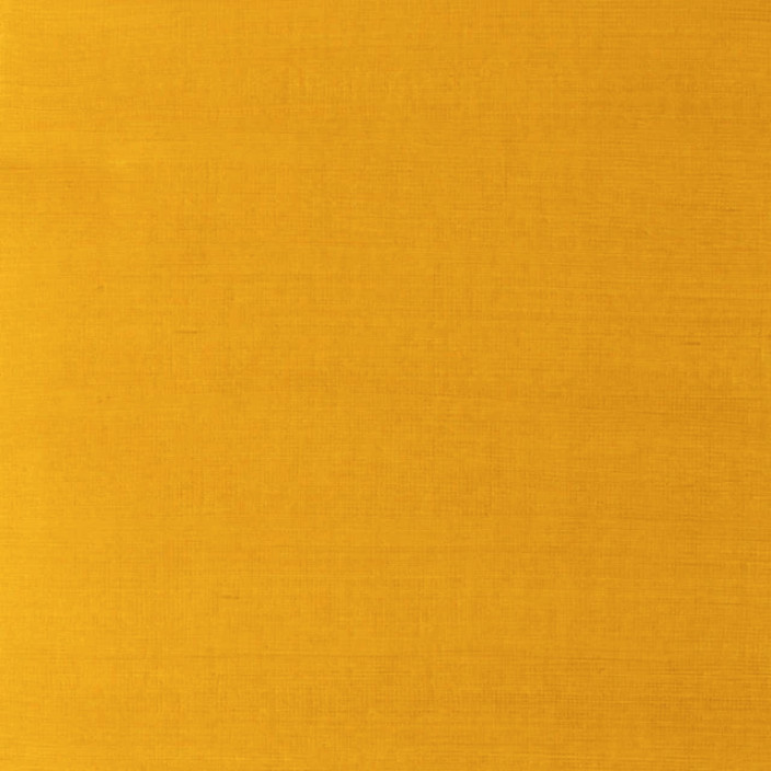 yellowochre.eth Ethereum Name Service (ENS and .eth domain) PFP