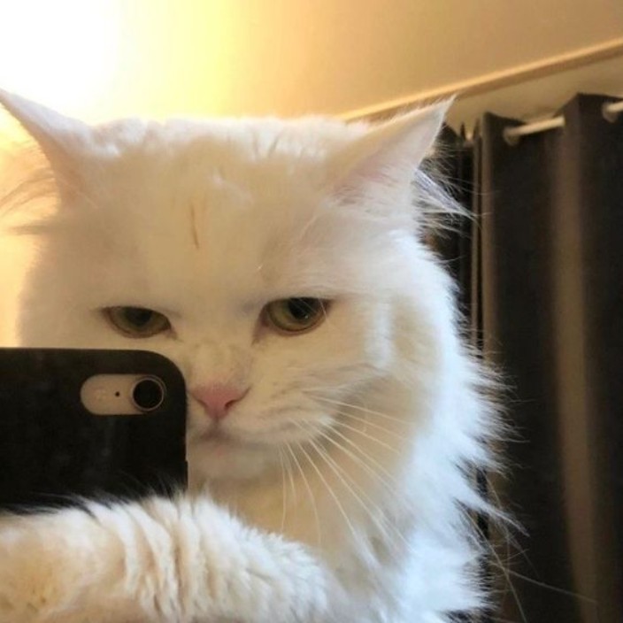 zabavkaxd.eth Ethereum Name Service (ENS and .eth domain) PFP