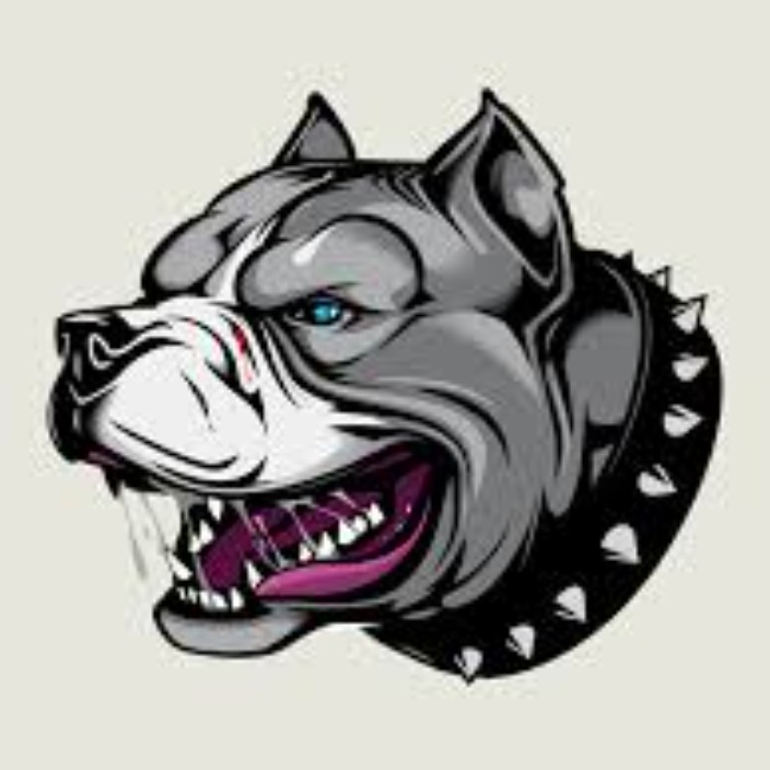 zaxlo.eth Ethereum Name Service (ENS and .eth domain) PFP