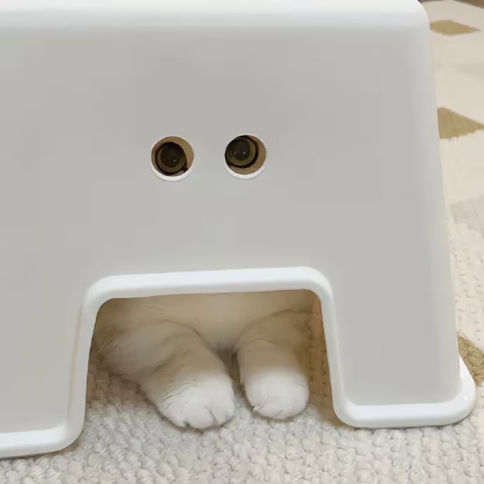 zh0u479.eth Ethereum Name Service (ENS and .eth domain) PFP