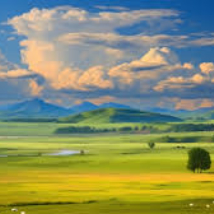 zhouyashigedameinv.eth Ethereum Name Service (ENS and .eth domain) PFP