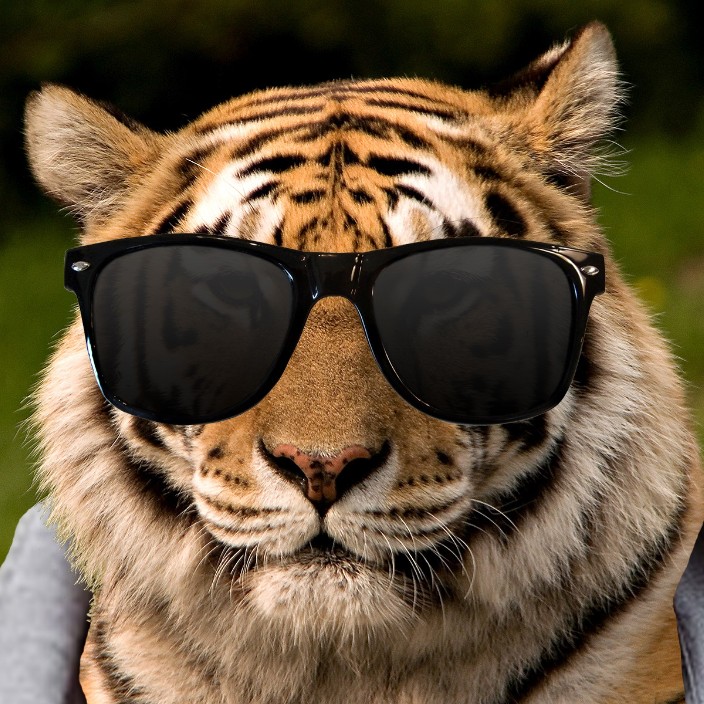 zhuzhuo.eth Ethereum Name Service (ENS and .eth domain) PFP