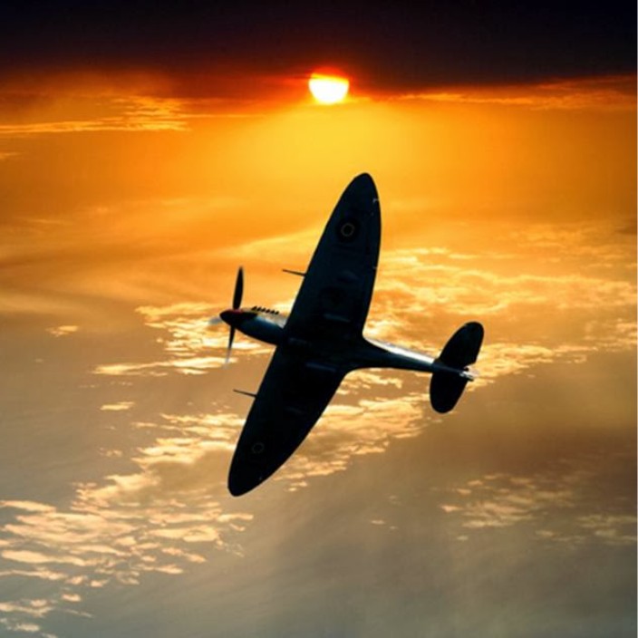 zilant.eth Ethereum Name Service (ENS and .eth domain) PFP