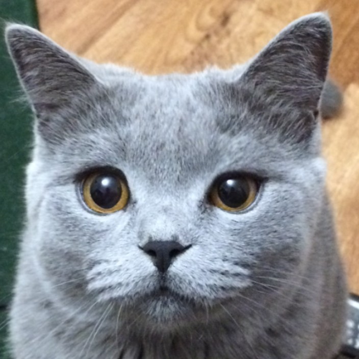 Andrej Gartung (zloikeks.lens) Lens social identity (.lens handle) PFP