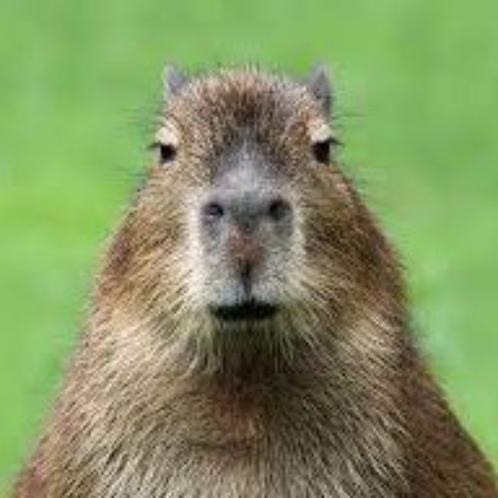 dimitrij.lens Lens social identity (.lens handle) PFP