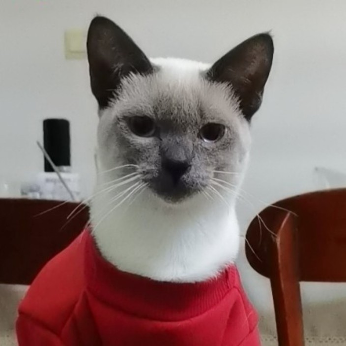 煤老板的暹罗矿工喵.eth Ethereum Name Service (ENS and .eth domain) PFP