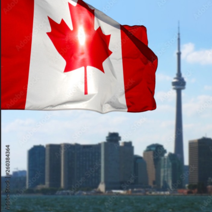 🇨🇦🇨🇦🇨🇦🇨🇦🇨🇦.eth Ethereum Name Service (ENS and .eth domain) PFP