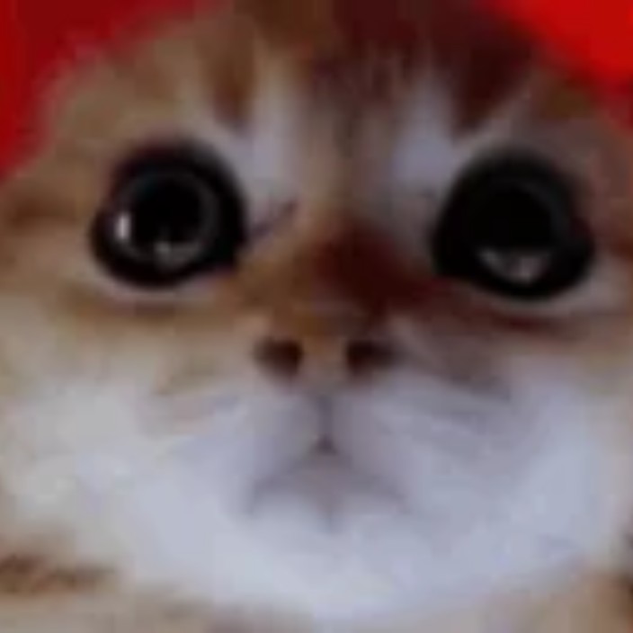 yreva.lens Lens social identity (.lens handle) PFP