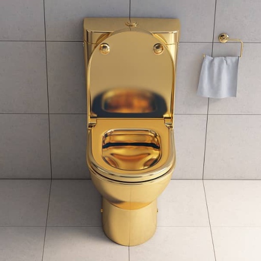 🚽🚽🚽🚽🚽.eth Ethereum Name Service (ENS and .eth domain) PFP